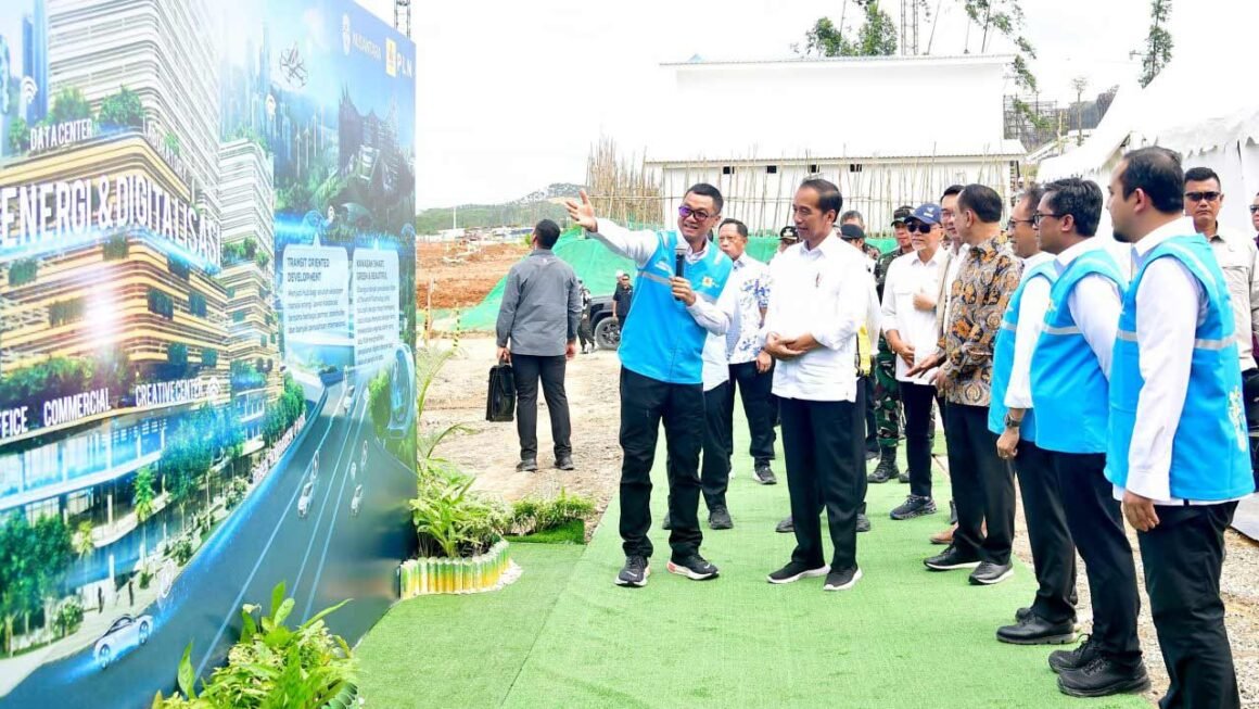 Presiden Harap IKN 100 Persen Memakai Energi Hijau